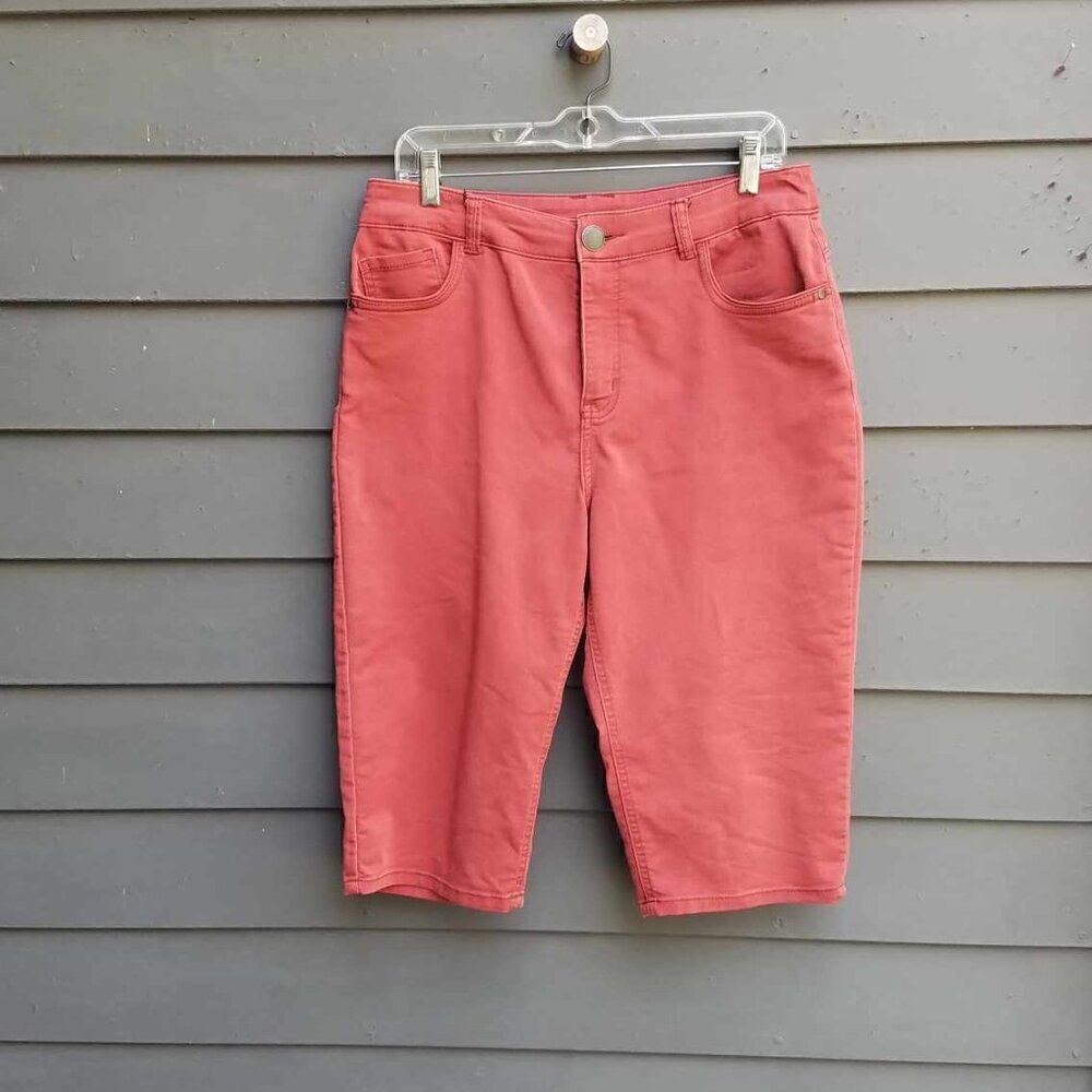 Christopher & Banks Rust Bermuda Shorts size 8 - Picture 7 of 12